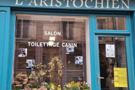 Salon de toilettage canin à reprendre - Brioude et arrondissement (43)