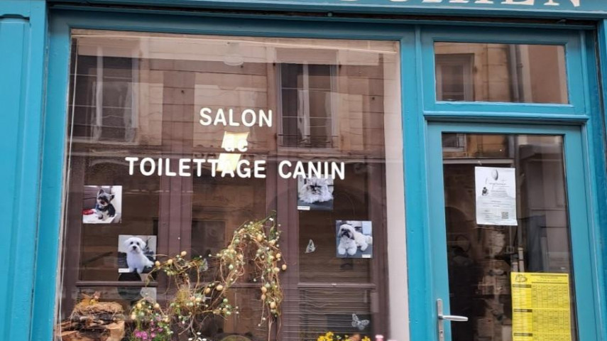 Salon de toilettage canin à reprendre - Brioude et arrondissement (43)
