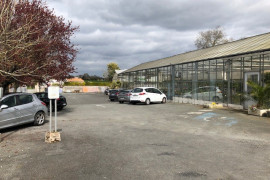 Production de plants à reprendre en Charente-Maritime