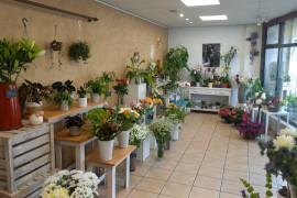 Fond de commerce fleuriste ouest lyonnais à reprendre - Rhône Centre (69)