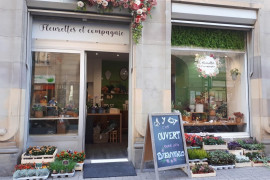 Vends magasin de fleur strasbourg centre à reprendre - Arrond. Strasbourg (67)