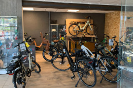 Vente rep. cycles-moto-motoculture de plaisance à reprendre - Pays du Haut Poitou (86)