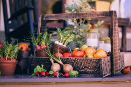 NÉgoce b to b fruits et legumes à reprendre - Pyrénées-Atlantiques