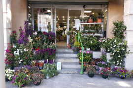 A vendre magasin de fleurs sur nÎmes ; prix : 60 k à reprendre - Grand Nîmes (30)