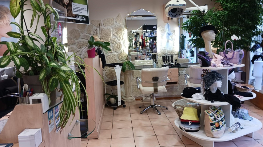 Salon de coiffure à reprendre - Blois et arrondissement (41)