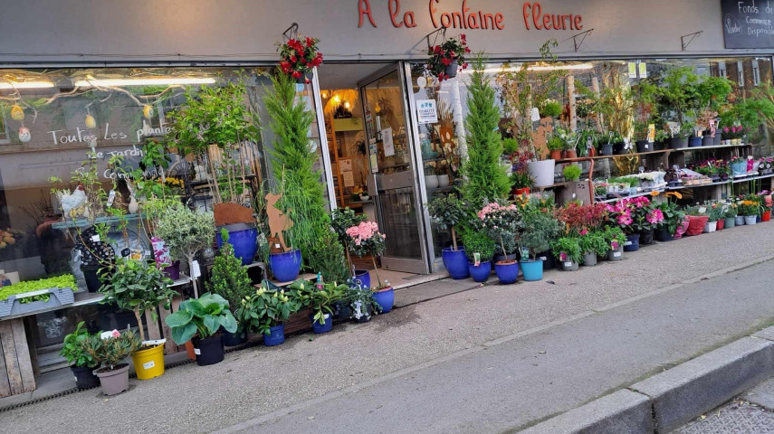 Fleuriste à reprendre - Saint-Quentin (02)