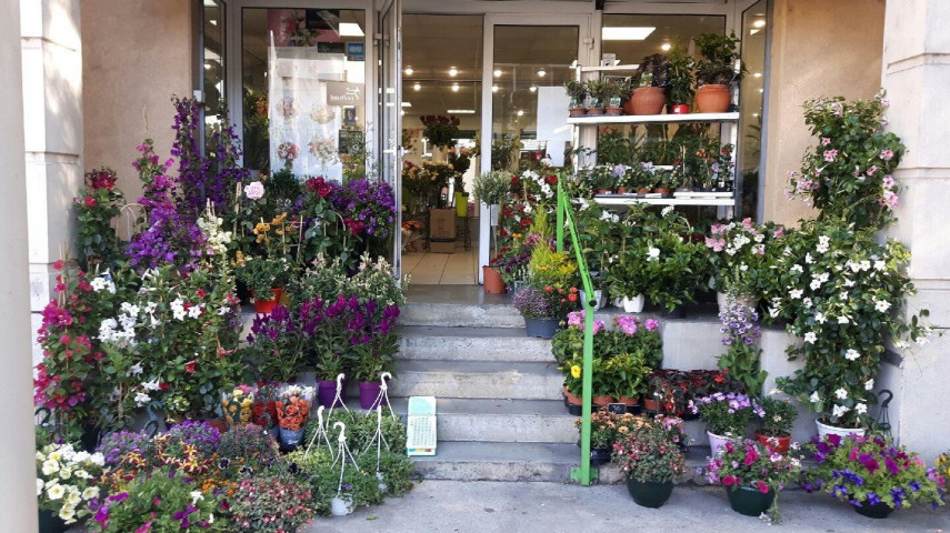 A vendre magasin de fleurs sur nÎmes ; prix : 60 k à reprendre - Grand Nîmes (30)