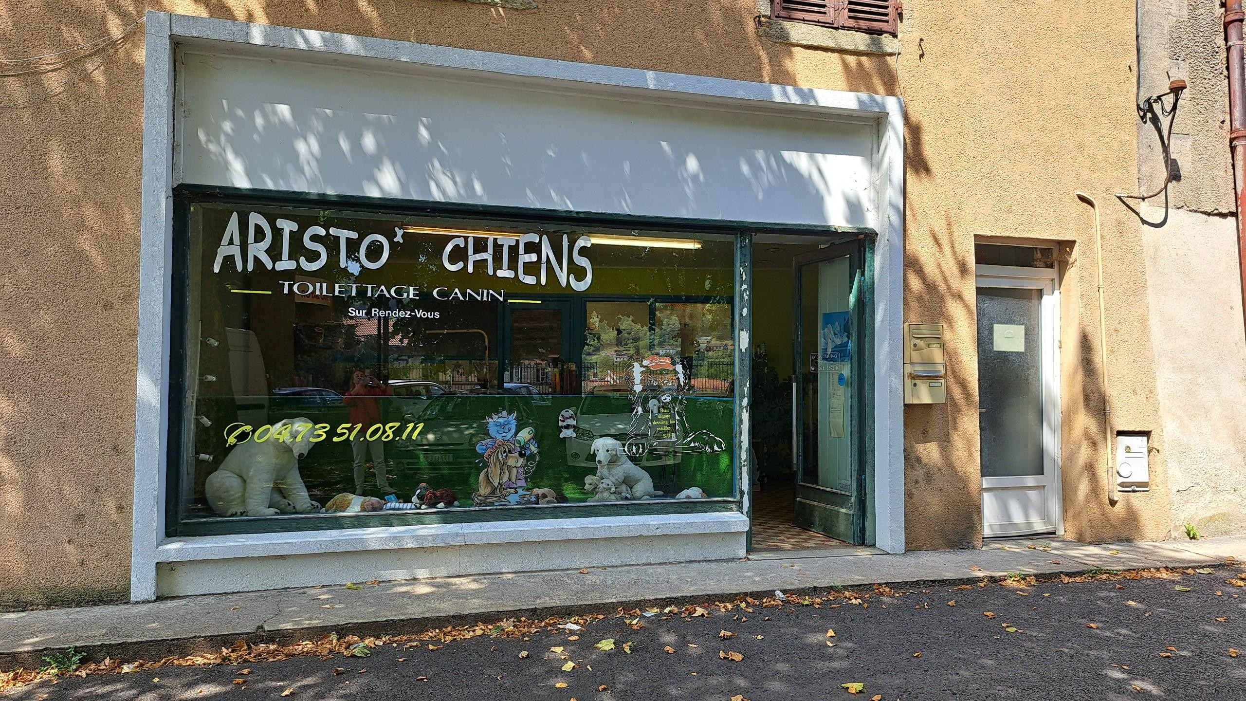 SALON DE TOILETTAGE CANIN